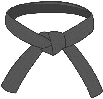 Black Belt Recertification - AALSSC