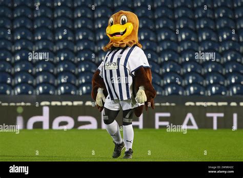 The West Bromwich Albion mascot ‘Baggie Bird’ during the Sky Bet ...