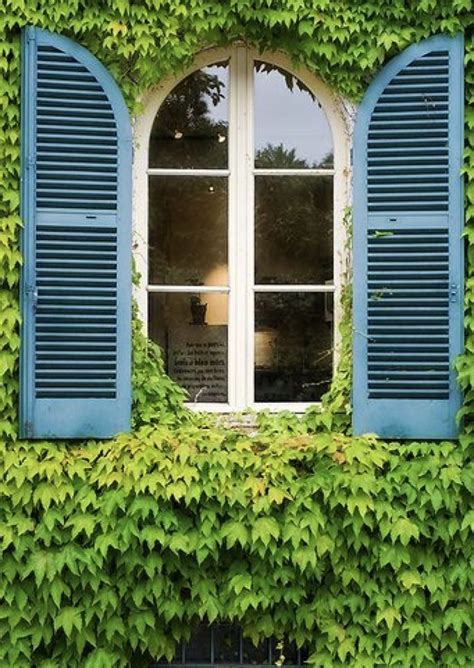 Pin by Yolanda020🇪🇸 on Lime and turquoise | Shutters, Window shutters ...