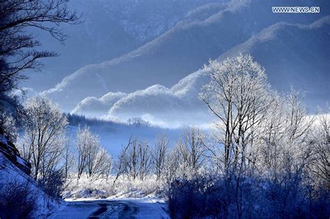 Images of the Most Spectacular Forest of China: Shennongjia