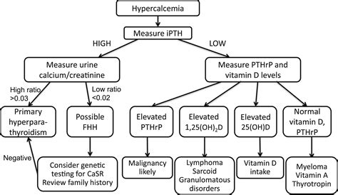 Approach to Diagnosis and Treatment of Hypercalcemia in a Patient With ...