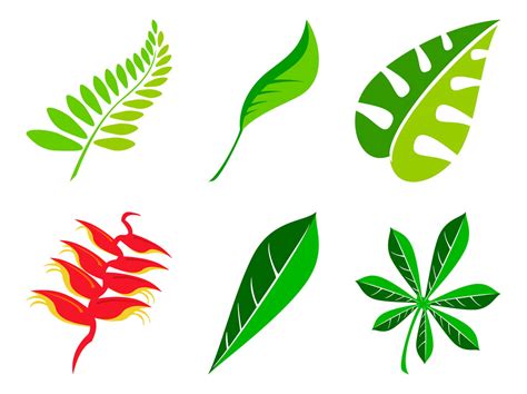 Fern Leaf Pictures - Cliparts.co