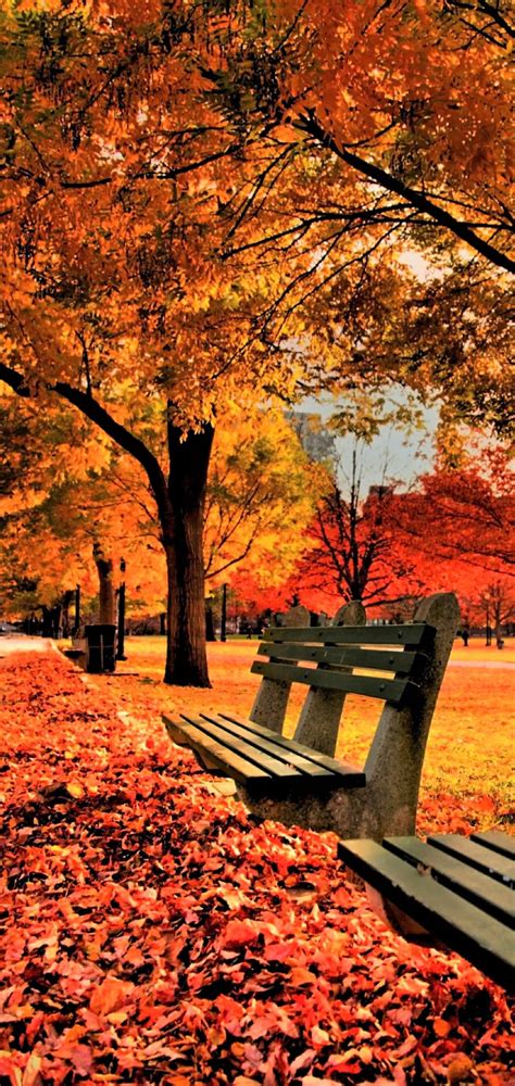 Autumn Mobile Wallpapers - Top Free Autumn Mobile Backgrounds - WallpaperAccess