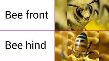 National Honey Bee Day 2020 Funny Memes and Jokes: LOL at These ...