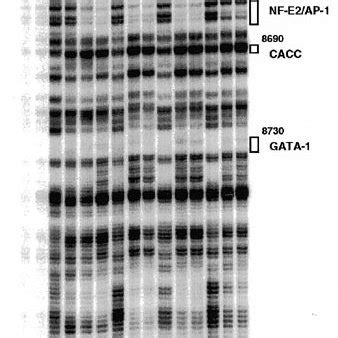 The structure of the nitrogen mustards used in this study. | Download ...