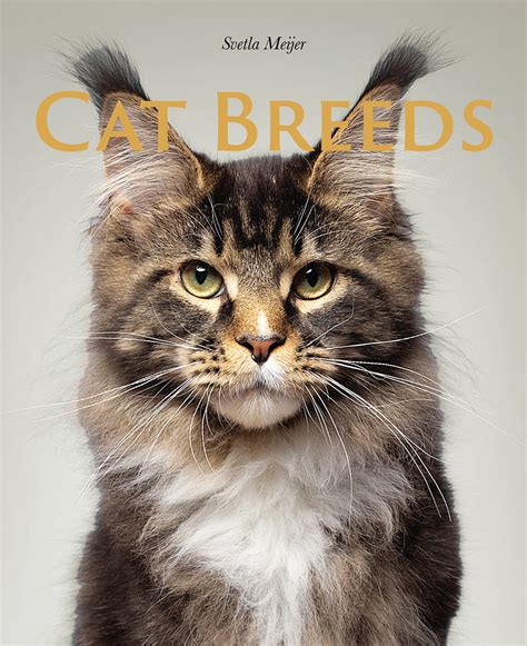 Cat Breeds on Behance