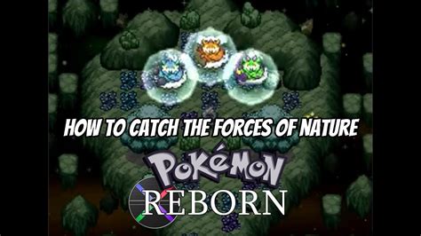 FORCES OF NATURE Pokemon Reborn legendary quest - YouTube