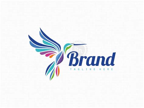 Hummingbird Logo - Branition