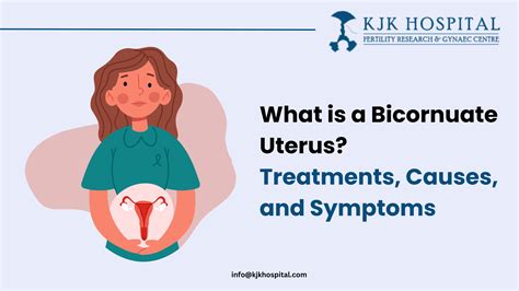 What is Bicornuate Uterus? Treatments, Causes, and Symptoms