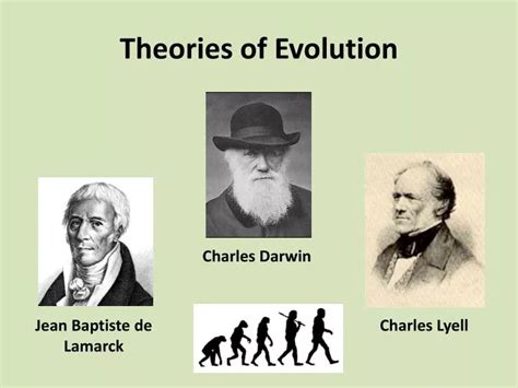 Evolutionary Theory