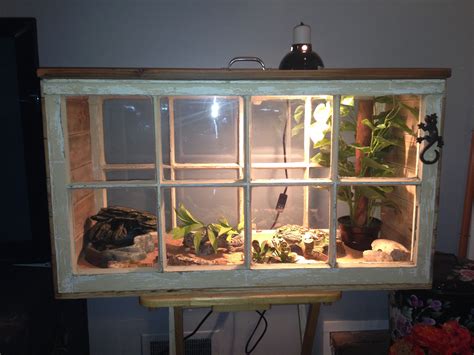 New lizard home with recycled windows and pallets. Reptile Habitat ...