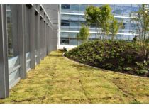 Providence Everett Medical Center - Greenroofs.com