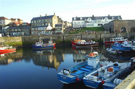 Stunning pictures of the North | Farne islands, Places to travel, Special places