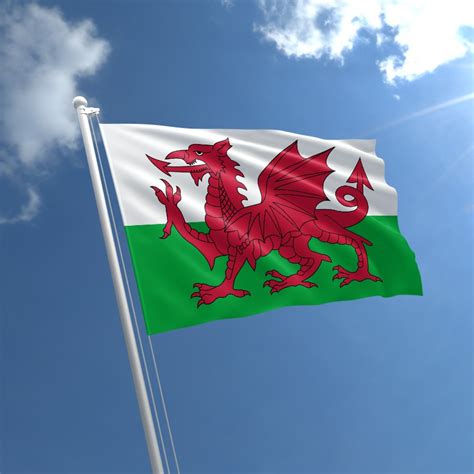 Wales Flag | Buy Flag of Wales | The Flag Shop