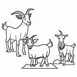 Goats On The Mountain Coloring Page · Creative Fabrica sketch template