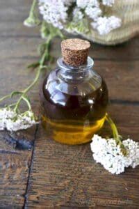 How to Make Yarrow Oil and 10 ways to use It - SimplyBeyondHerbs