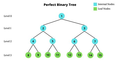 Perfect Binary Tree