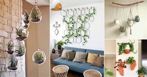 32 Wall Hanging Plant Decor Ideas | Balcony Garden Web