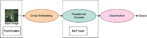 Basic architecture of ViT. | Download Scientific Diagram