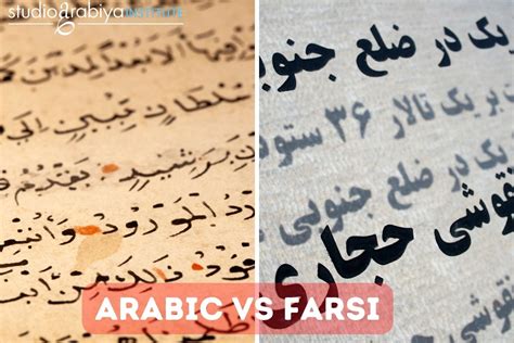 Should I learn Farsi or Arabic? | studio arabiya - Studio Arabiya