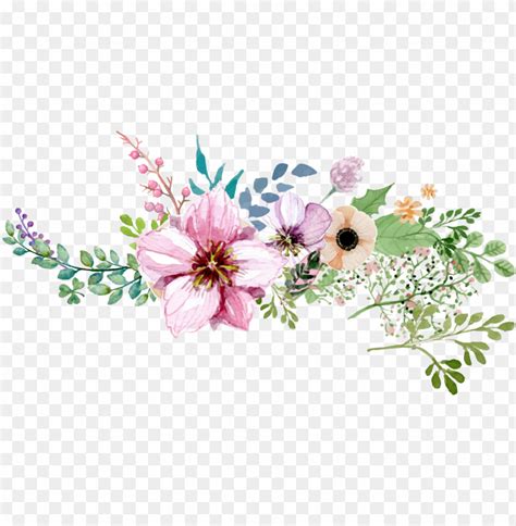 watercolor flower borderround png - watercolour flower border PNG image with transparent ...