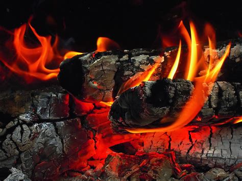 1366x768 resolution | burning charcoal, fire, wood HD wallpaper ...