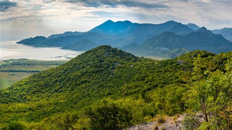 Important Plant Areas - Montenegro - Plantlife