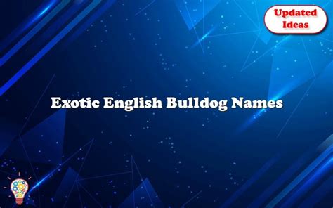 Exotic English Bulldog Names - Updated Ideas