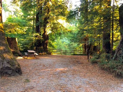 Santa Cruz Redwoods RV Resort – Roadside Secrets