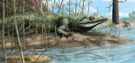 Fossil of 250 million year old reptile species discovered