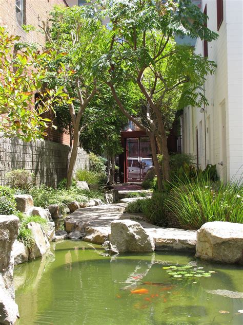 Koi Fish Pond inside the Chinese Garden! #koifish #chinesegarden #sdchinesedistrict | Chinese ...