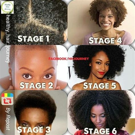 @naturalhair_lovers - Discover Your Natural Hair Journey