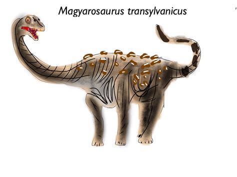 Magyarosaurus transylvanicus by Vespisaurus on DeviantArt