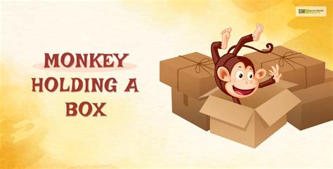 Monkey Holding A Box - Is It A Mistake By Google Or Something Else ...