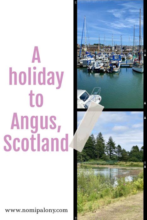 Our holiday to Angus, Scotland - Nomipalony