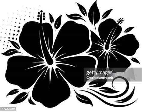 Hibiscus Silhouette Photos and Premium High Res Pictures - Getty Images