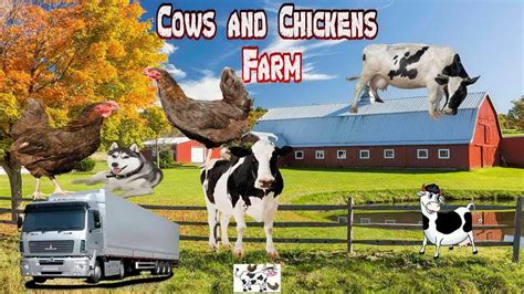 Cows and Chickens Farm for Android SoRSoft Games Family Friendly game ...