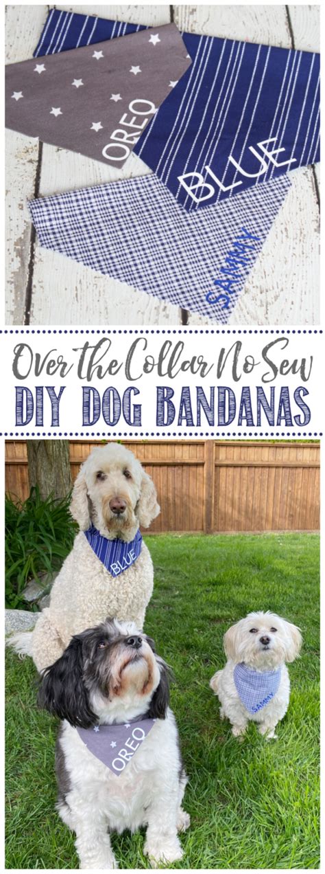 Easy No Sew DIY Dog Bandanas - Clean and Scentsible