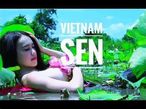 Hoa Sen Vietnam - YouTube