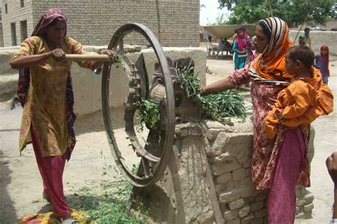 JUPIES: Pakistani Village Life