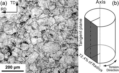 (a) Optical micrograph of a uniform austenite microstructure achieved ...