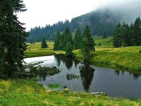 Muntii Apuseni. Apuseni Mountains - Romania Photo: Palotai Misi — at Romania - Carpathian Garden ...