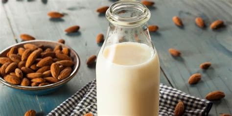 11 Delicious Dairy-Free Milk Alternatives | BODi