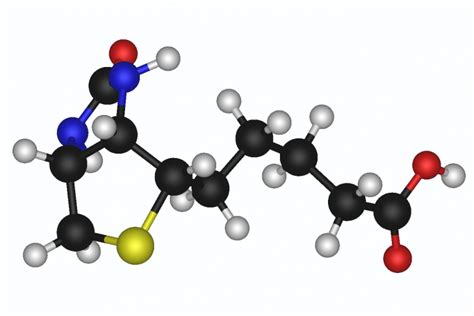 Biotin MS treatment study results published | Anne Rowling Regenerative Neurology Clinic