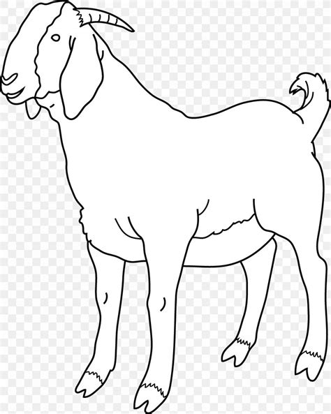 Boer Goat Black Bengal Goat Sheep Clip Art, PNG, 4202x5266px, Boer Goat, Animal Figure, Area ...