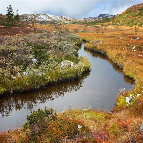 Fuji Creek | Landskap Norge / Landscape Norway - Oppland - N… | Flickr