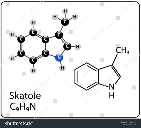 Skatole Molecule Structure Stock Vector (Royalty Free) 1362451649