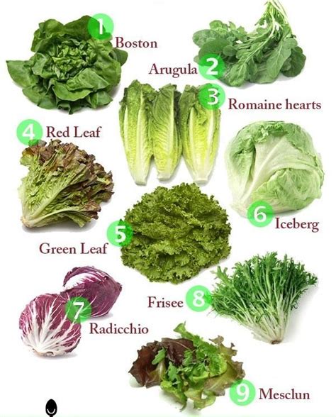 types of lettuce - Google Search | Types of lettuce, Asian vegetables ...