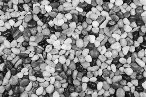 Black and White Pebble Stones for a Background. Stock Photo - Image of ...