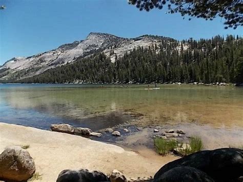 Tenaya Lake - Fishing Camping Cycling in California, California - Global Outdoors